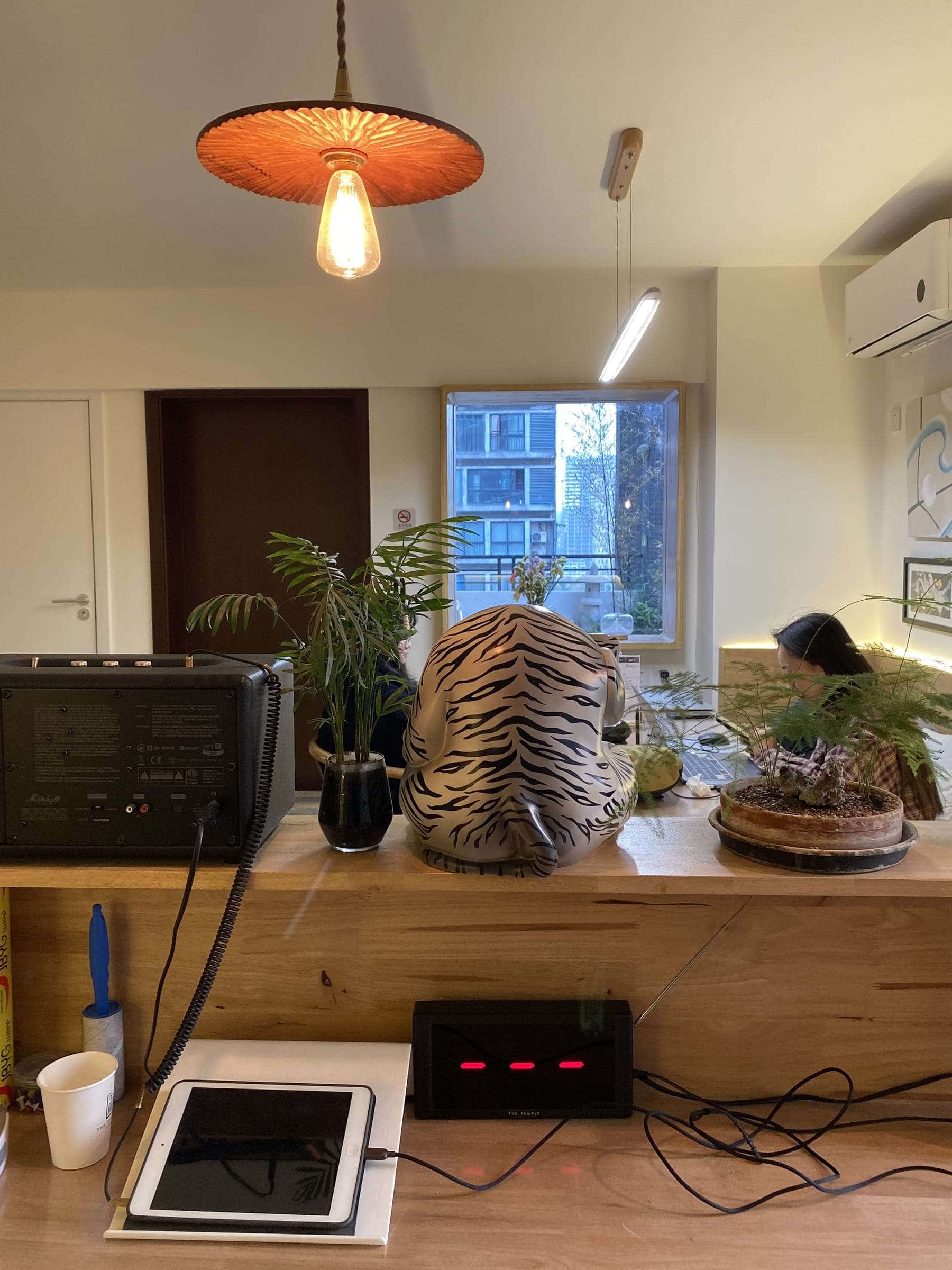 Temple Tattoo Studio — interior view 6